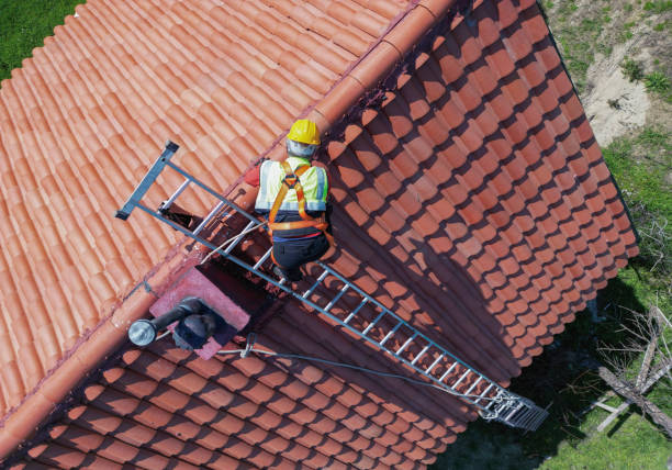 Best Steel Roofing  in One Loudoun, VA