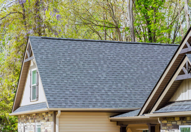 Siding in One Loudoun, VA