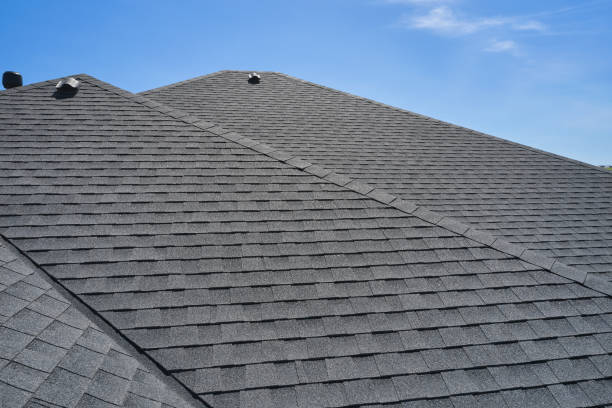 Best Sheet Metal Roofing  in One Loudoun, VA